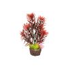 Dohse Hobby umetna rastlina Flora Stone 2, 13 cm