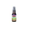 Kong Catnip Spray