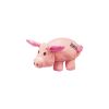 Kong Phatz Pig M