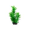 Tetra DecoArTetra Green Cabomba umetne rastline L