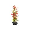 Tetra DecoArt Red Ludwigia umetna rastlina L