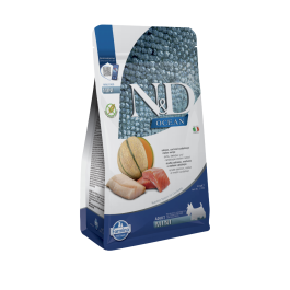 N&D Ocean Dog Adult Mini Grain Free losos, trska in melona 2,5 kg