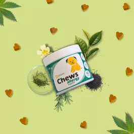 Apipet Chews Allergy Support 175 g