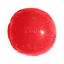 Kong Squeezz Ball L