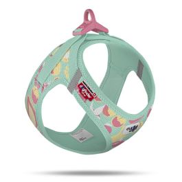 Curli oprsnica za pse Air-Mesh Juicy Fruits, tirkizna