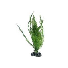 Dohse Hobby umetna rastlina Aponogeton, 25 cm
