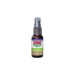 Kong Catnip Spray