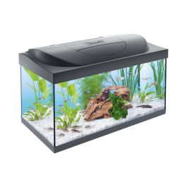 Tetra Akvarij Starter Line LED črni 54 l