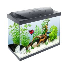 Tetra akvarij Starter Line LED črni 80 l