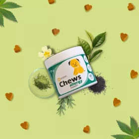 Apipet Chews Allergy Support 175 g