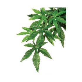 Hagen Exo Terra umetna rastlina Abutilon S