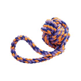 Hunter igrača za pse Jena žoga z zanko, 21 cm