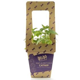 NJZ MAČJA MENTA CATNIP