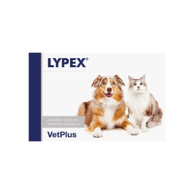 VetPlus Lypex za pse in mačke, 60 kapsula