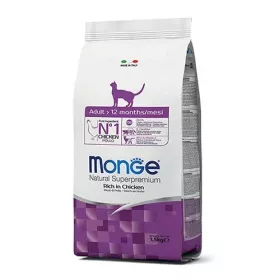 Monge cat Adult piščanec