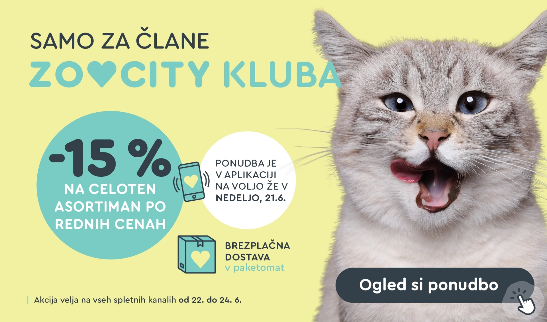 WEB akcija