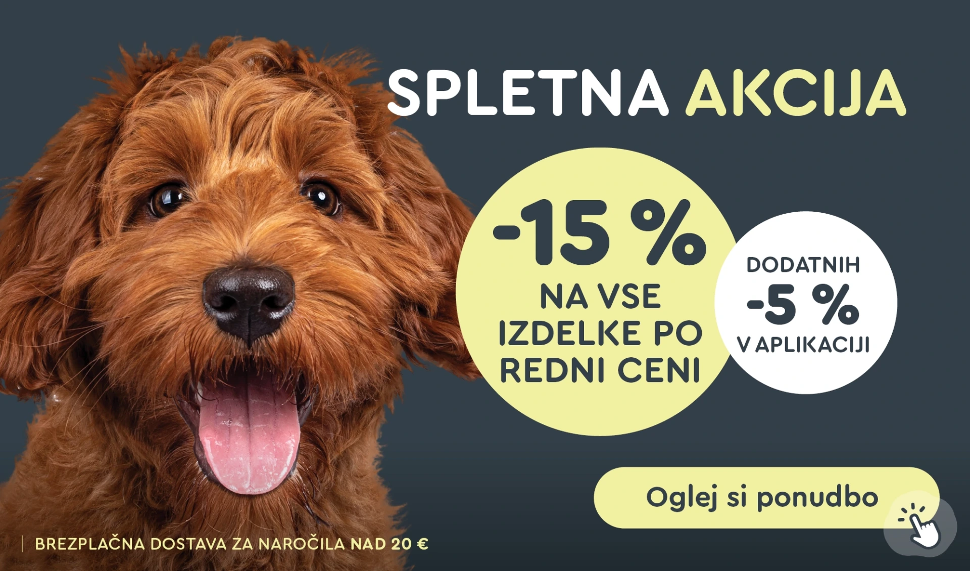 WEB akcija