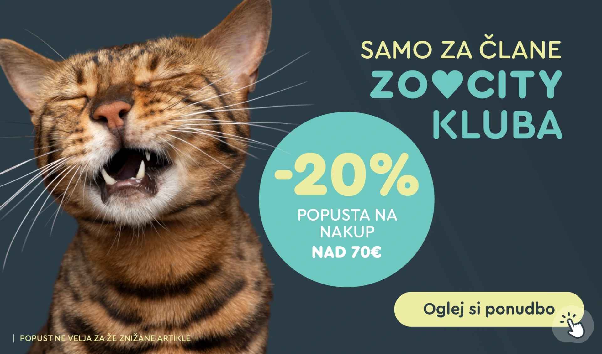 WEB akcija