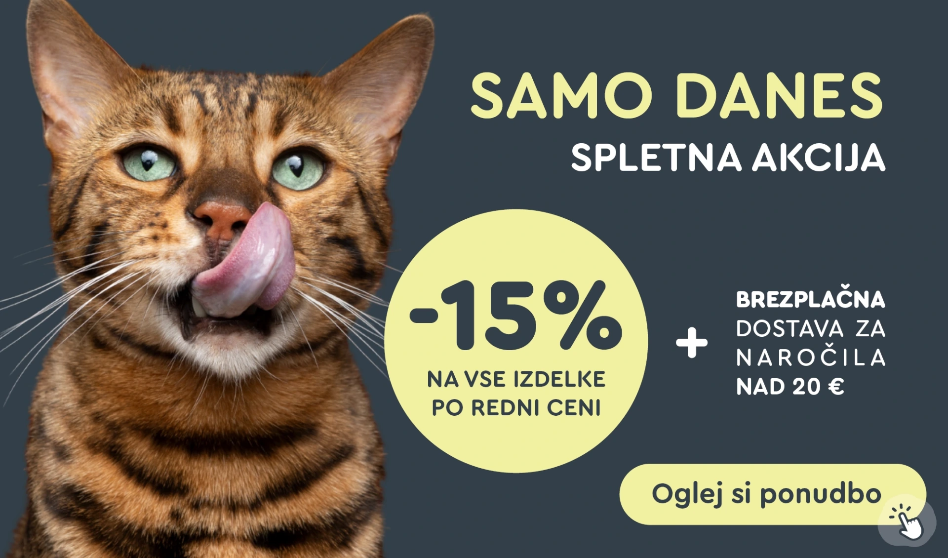 WEB akcija