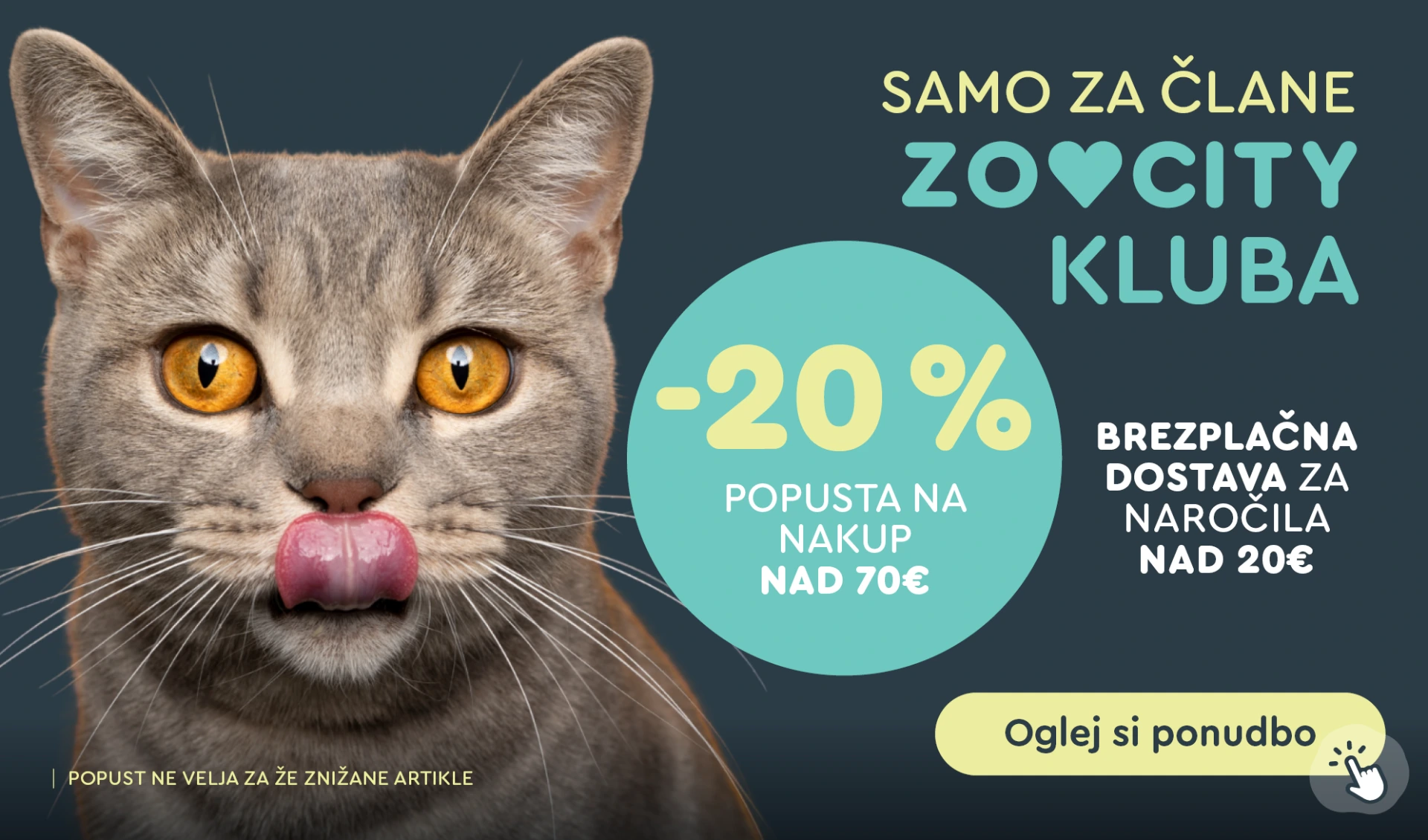WEB akcija 3 dni