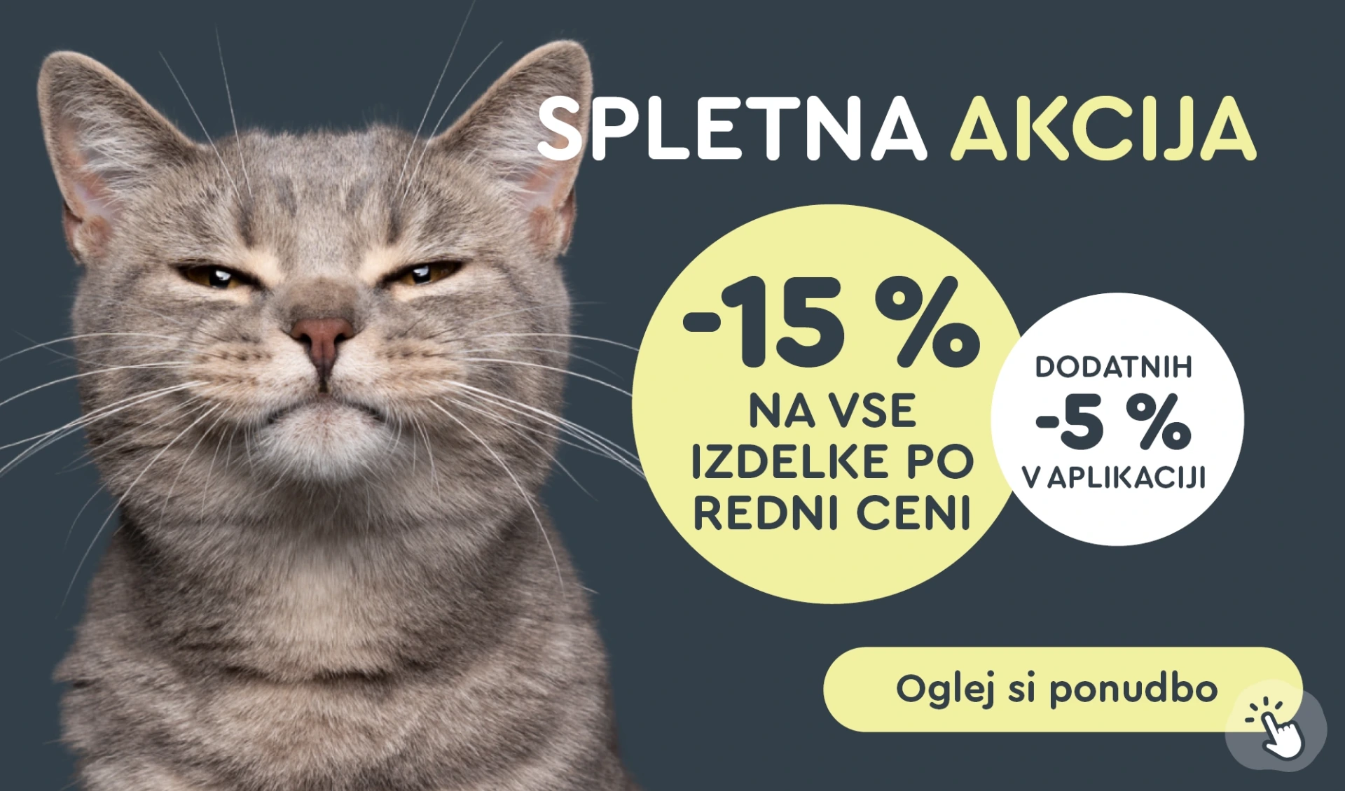 WEB akcija