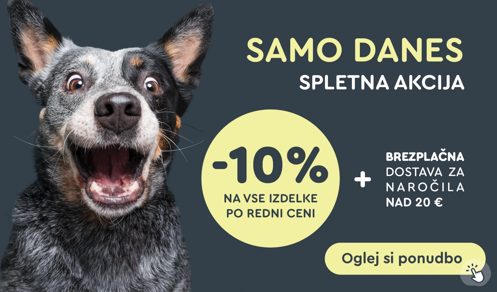 WEB akcija