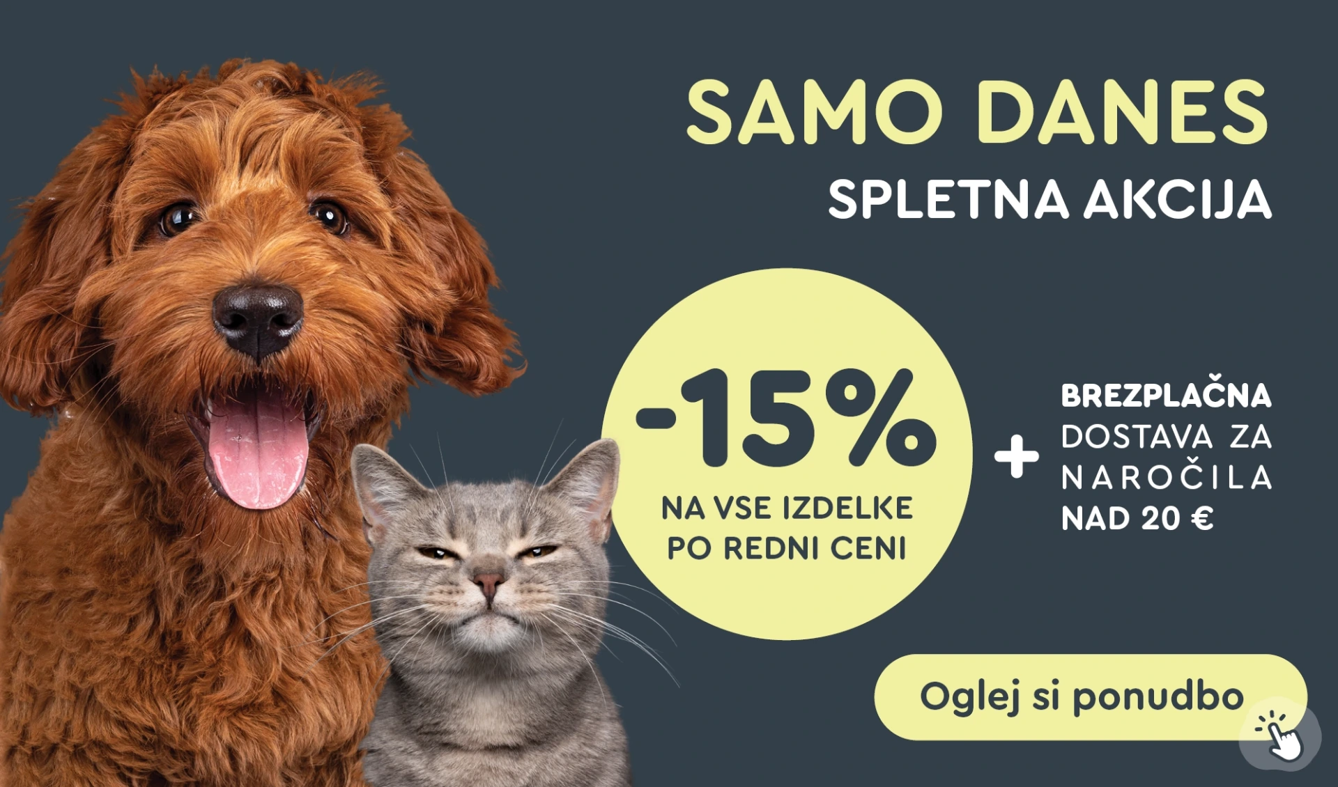 WEB akcija