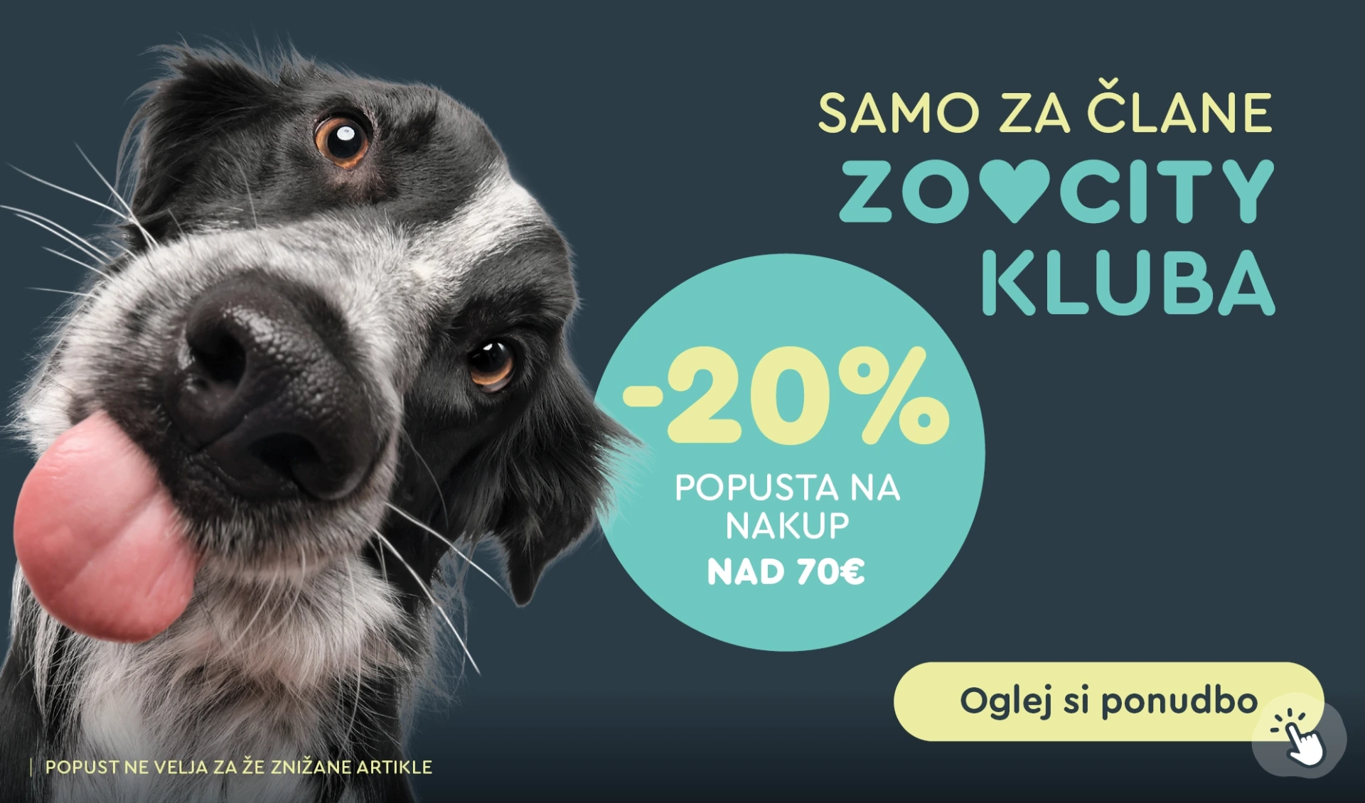 WEB akcija 3 dni
