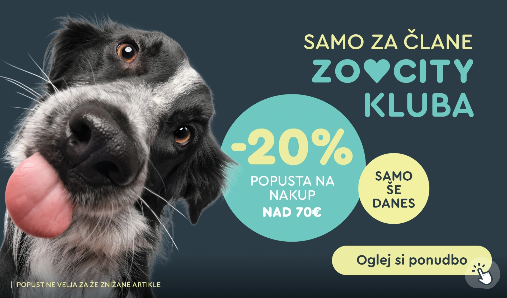 WEB akcija 3 dni