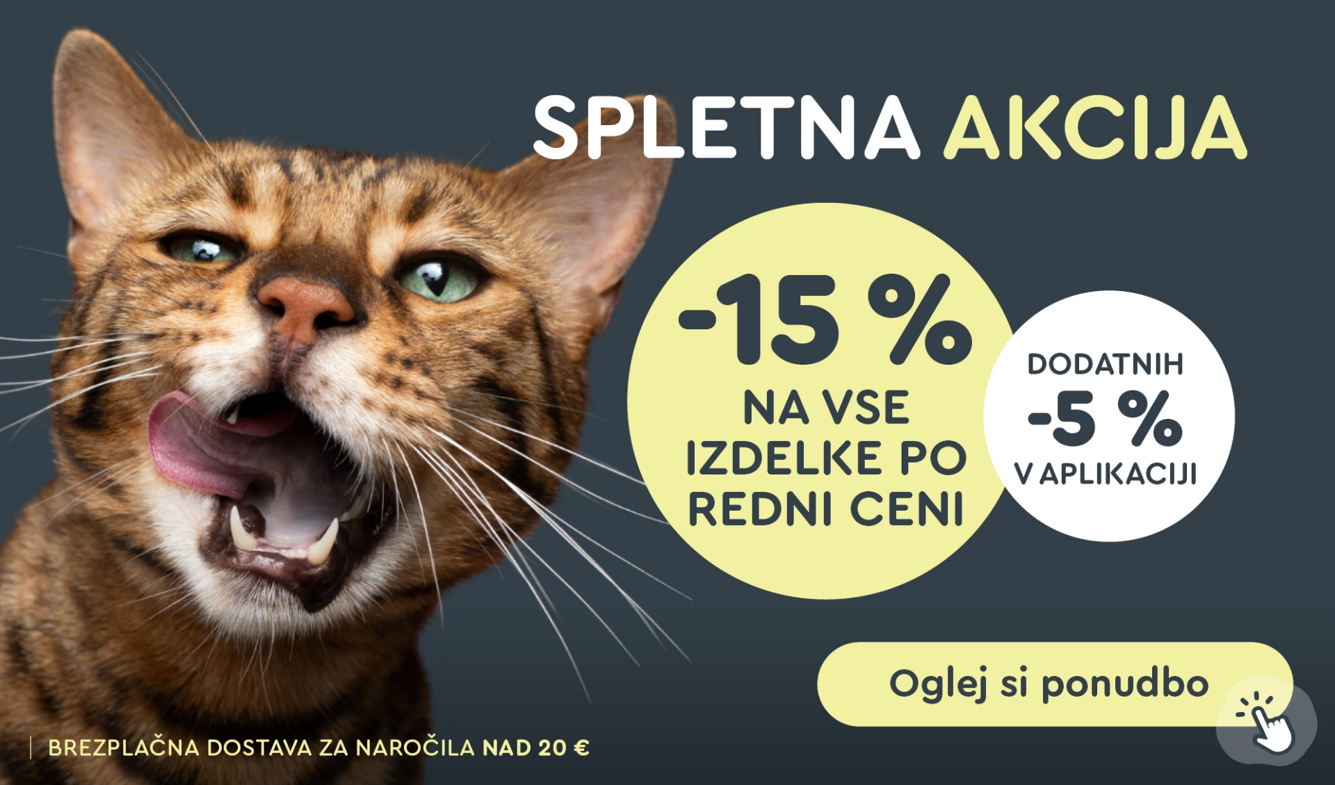 WEB akcija